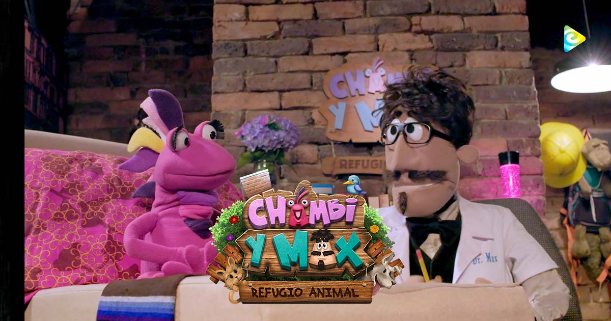 C&M-Chambi-Max-Redes